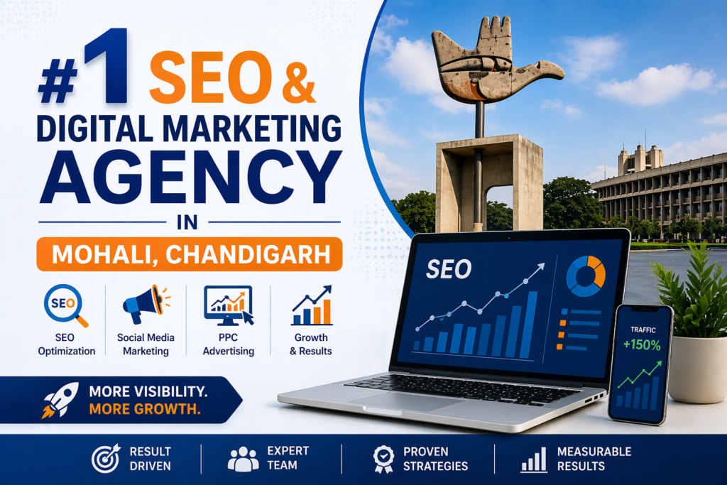 SEO & Digital Marketing Agency in Mohali, Chandigarh.